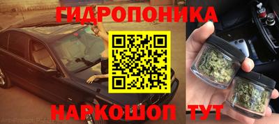 винт Можга