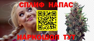мдпв Можайск