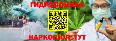 винт Можга