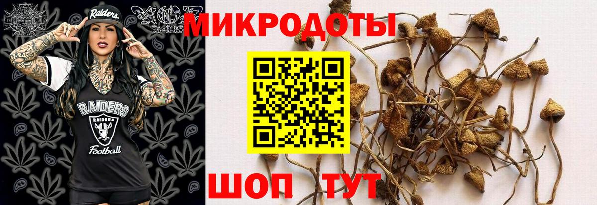 Галлюциногенные грибы прущие грибы  Вход с VPN  Новозыбков  Псилоцибиновые грибы Cubensis 
