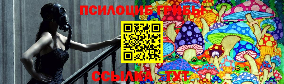 Псилоцибиновые грибы прущие грибы Новозыбков