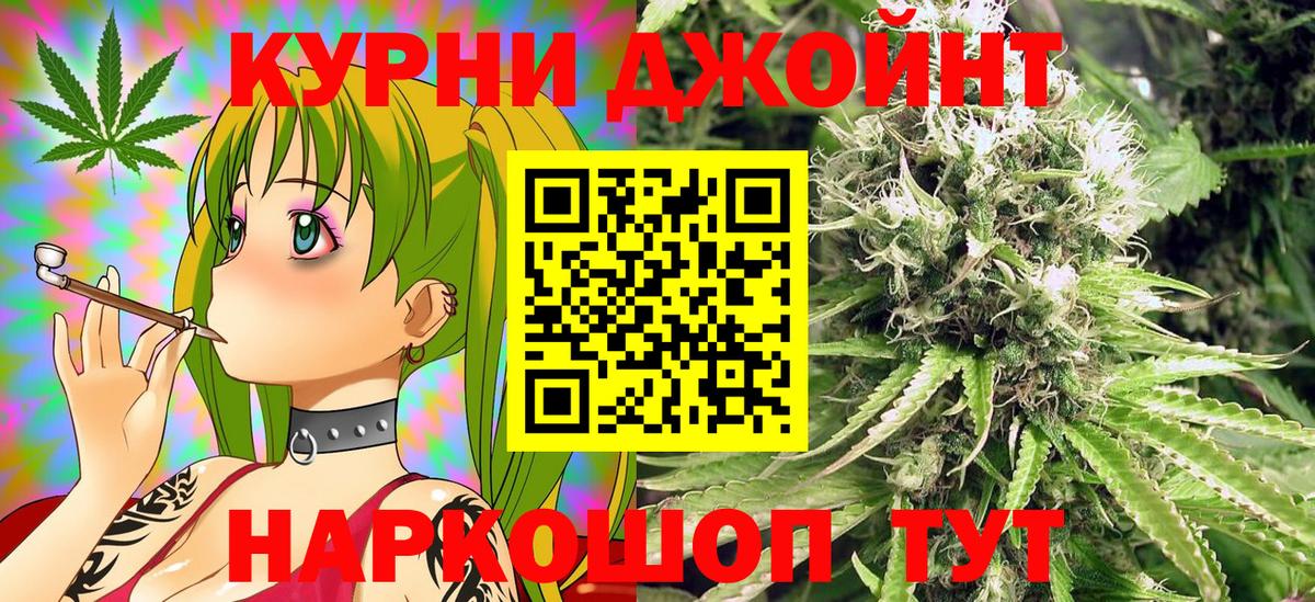 Бошки Шишки гибрид Новозыбков